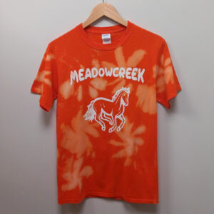 Camiseta Vintage