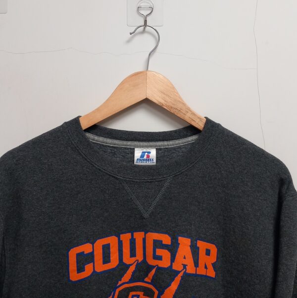 Sudadera Americana Russell - Imagen 2